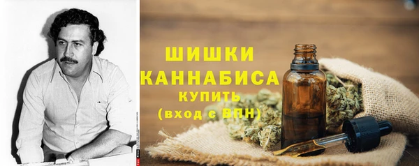 гидра Нея