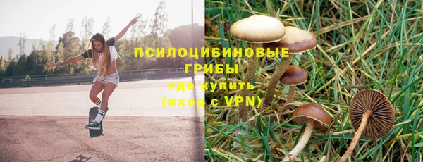 гидра Нея